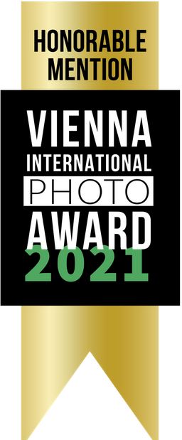 2. Vienna International Photo Awards