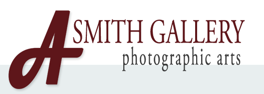 A Smith Gallery’s “forgotten” exhibition